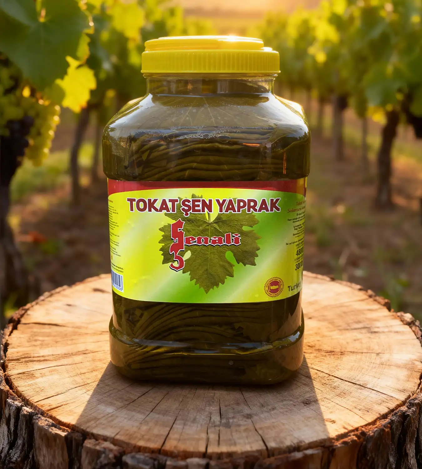 Salamura Tokat Yaprak